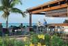 Divi Aruba Beach Resort Mega 